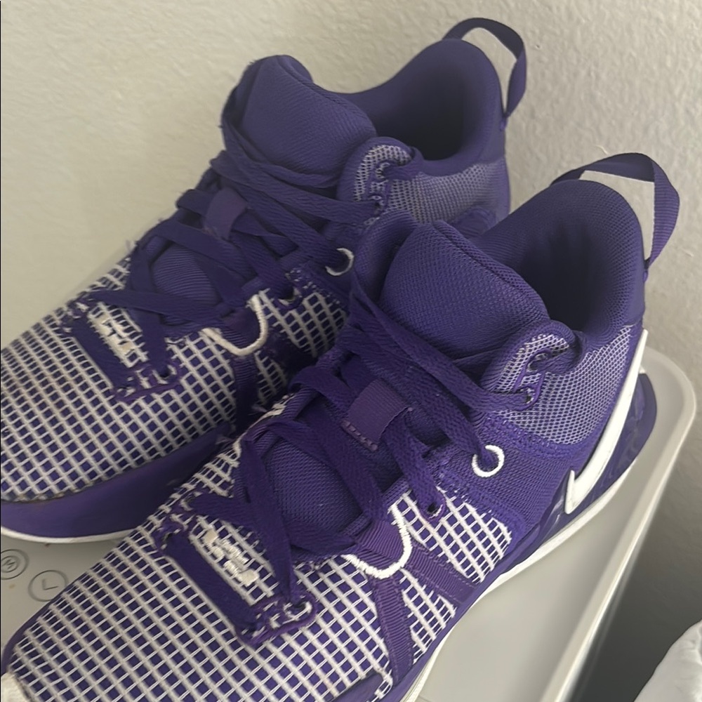 LeBron witnesses 7 (with box)